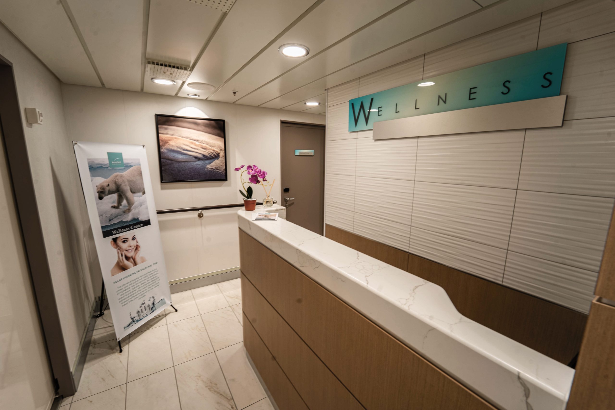 Greg Mortimer – Wellness Centre