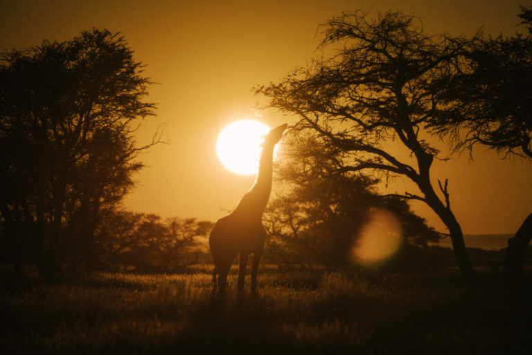 Habitas-Namibia_052022_00421-768×512