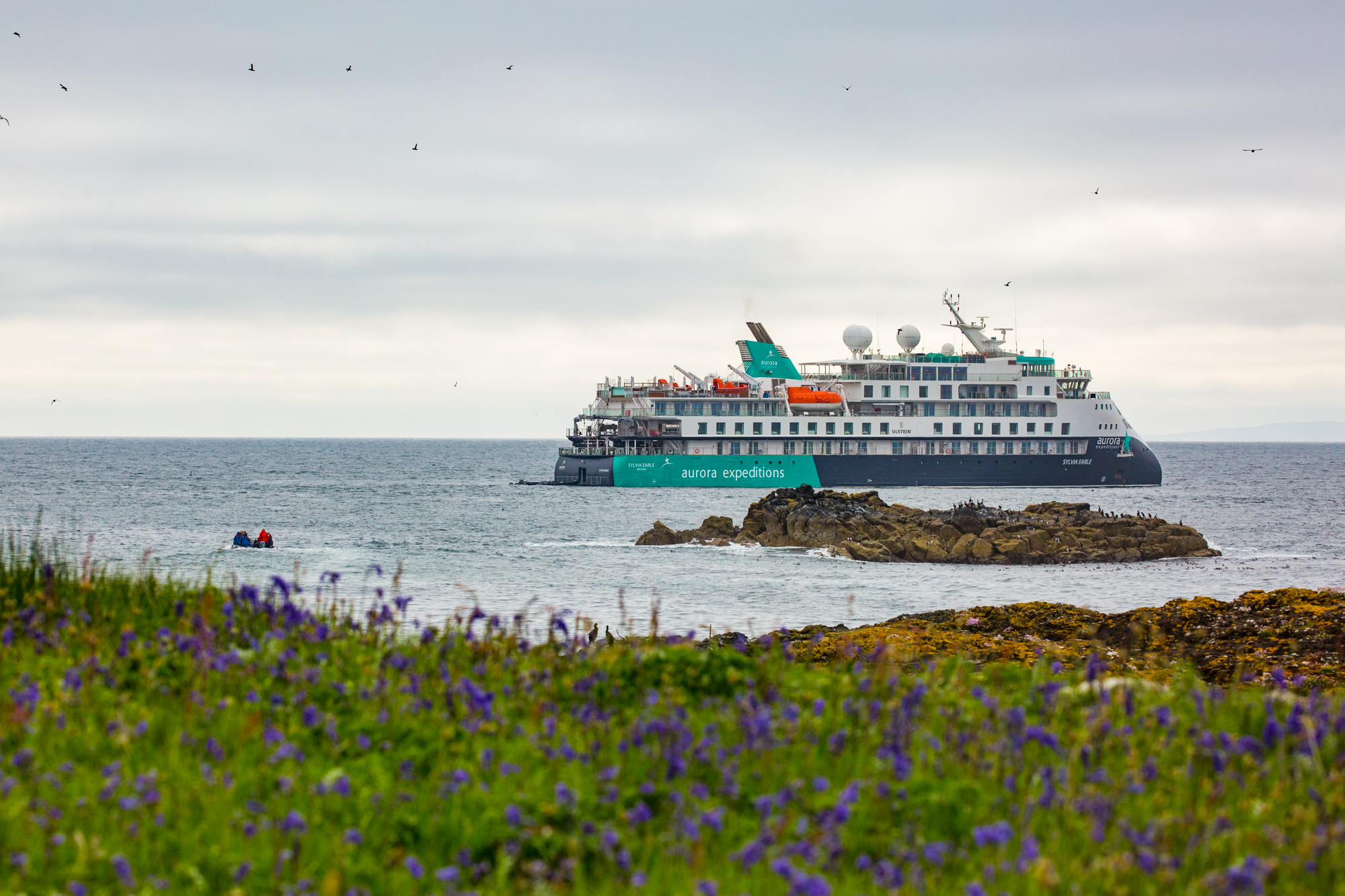 Sylvia Earle, Lunga, Scotland, Pia Harboure
