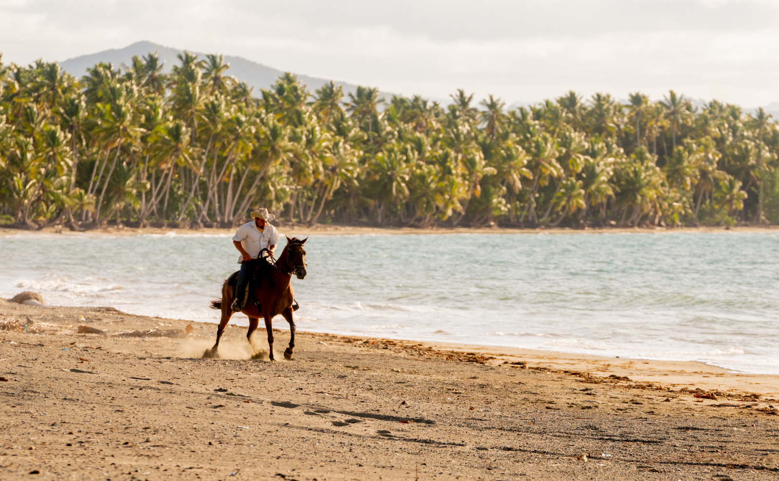 amanera-dominican-republic-activity-horseriding