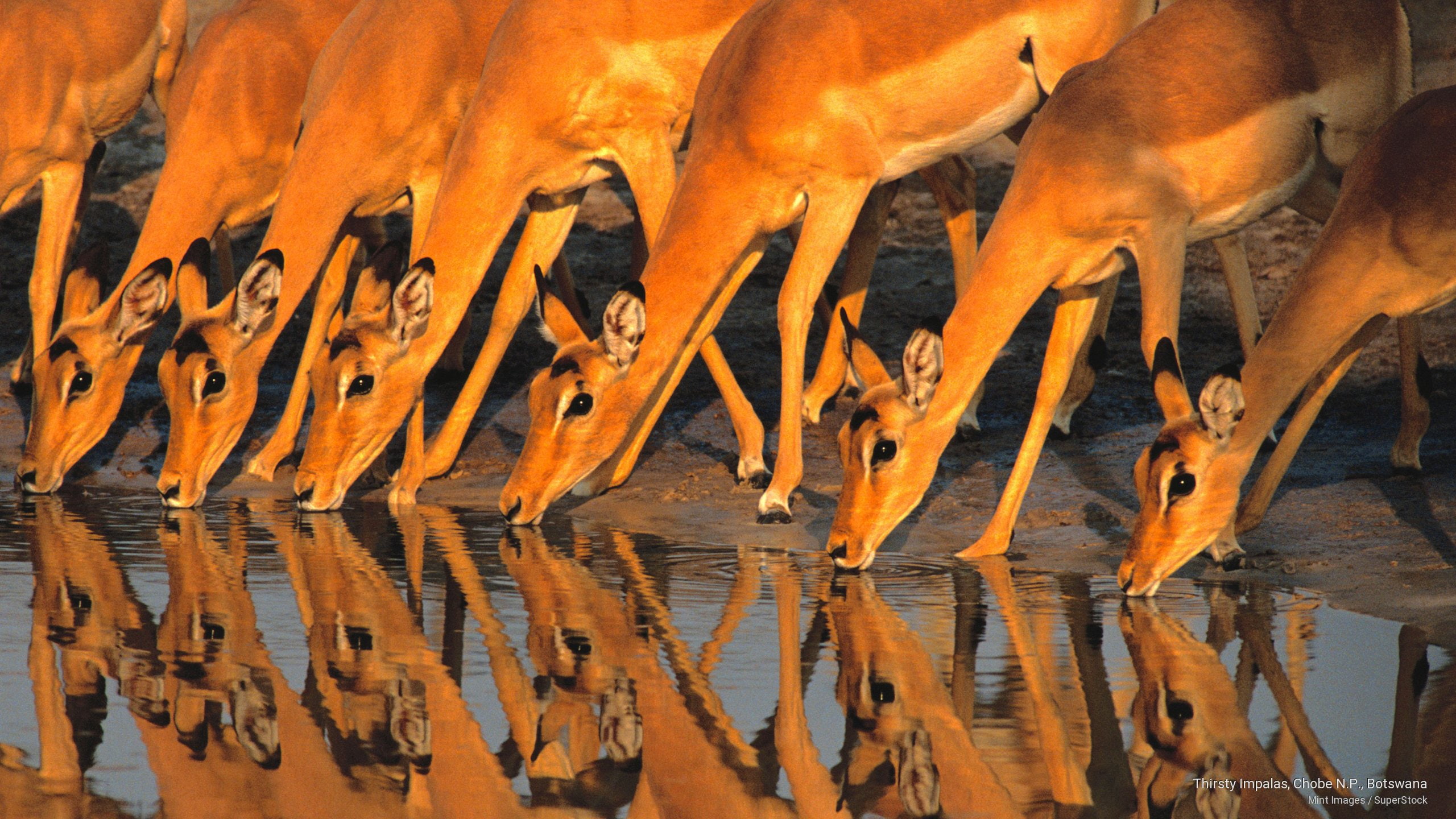 wallpaperflare.com_wallpaper (2)