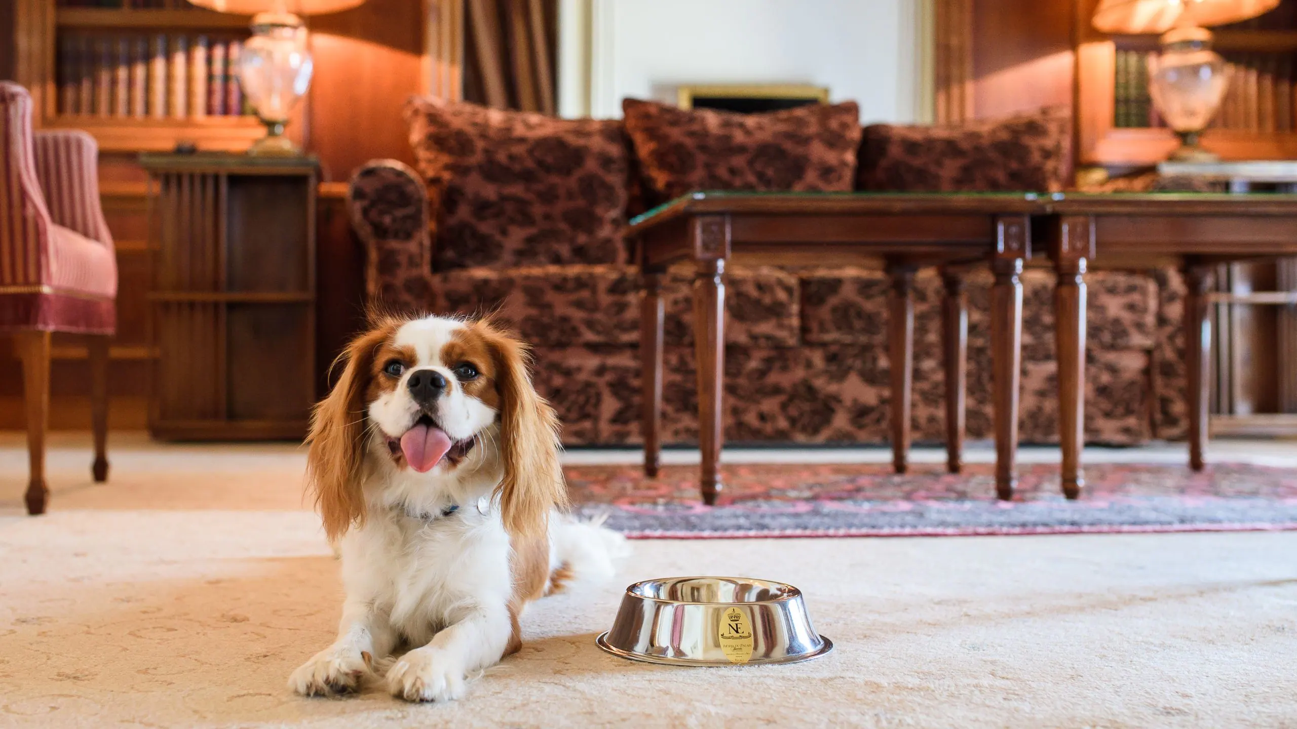 Hotel-du-Palais-Biarritz-P005-Pet-Friendly-Living-Area.16×9