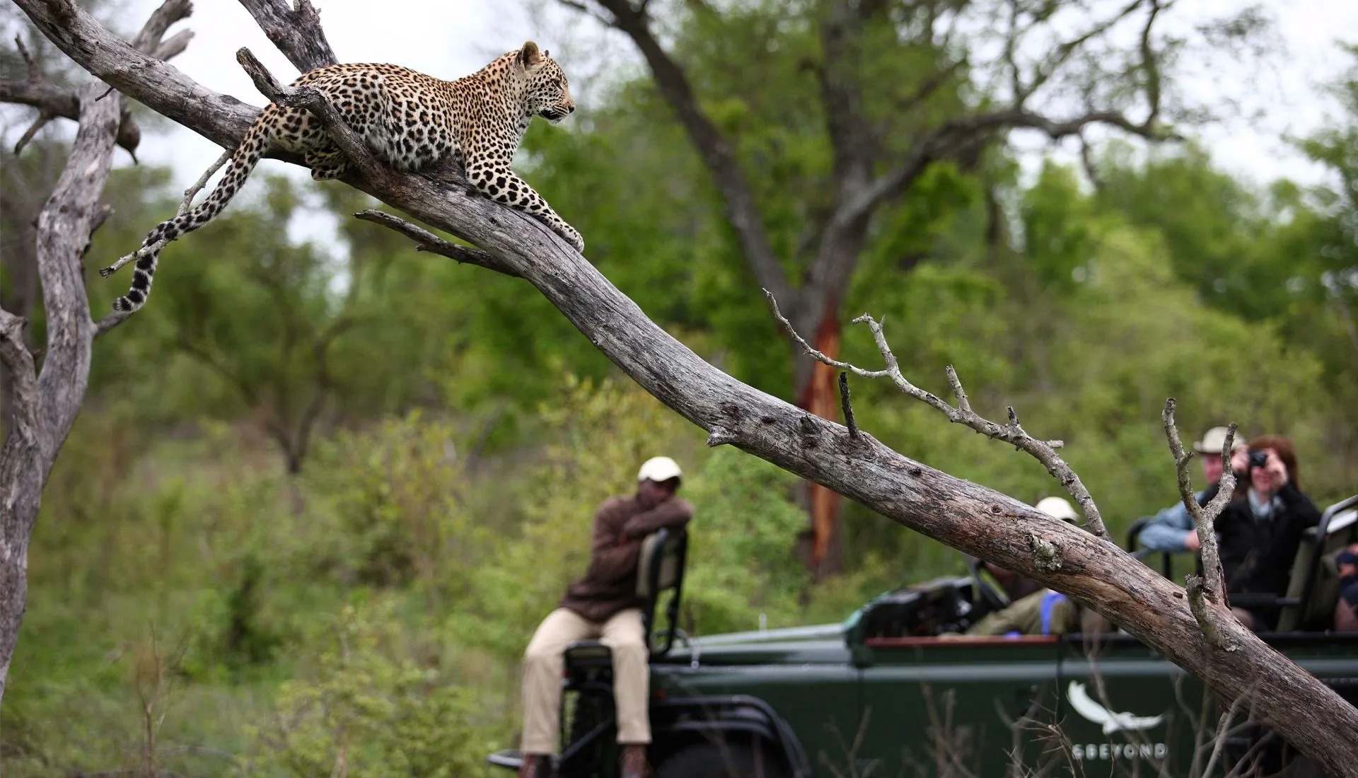 Kirkmans-Game-Drives