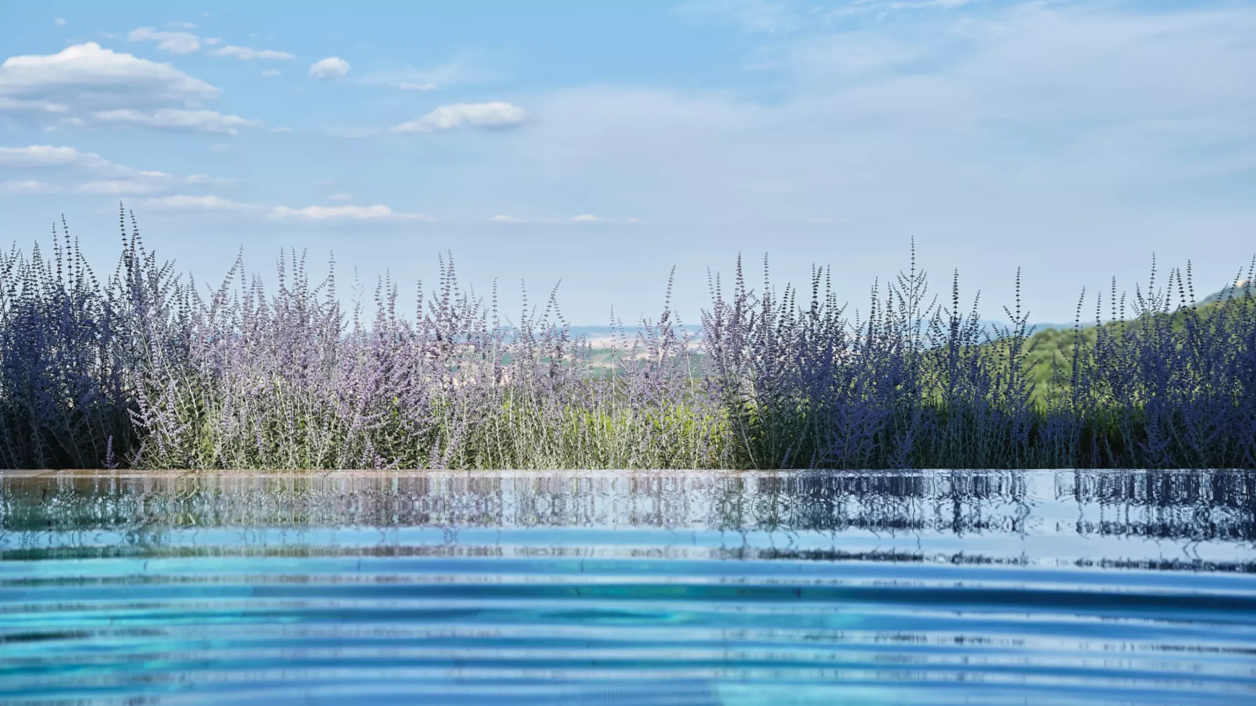 RWCDB_Pool_June 2022_WIDE-LARGE-16-9