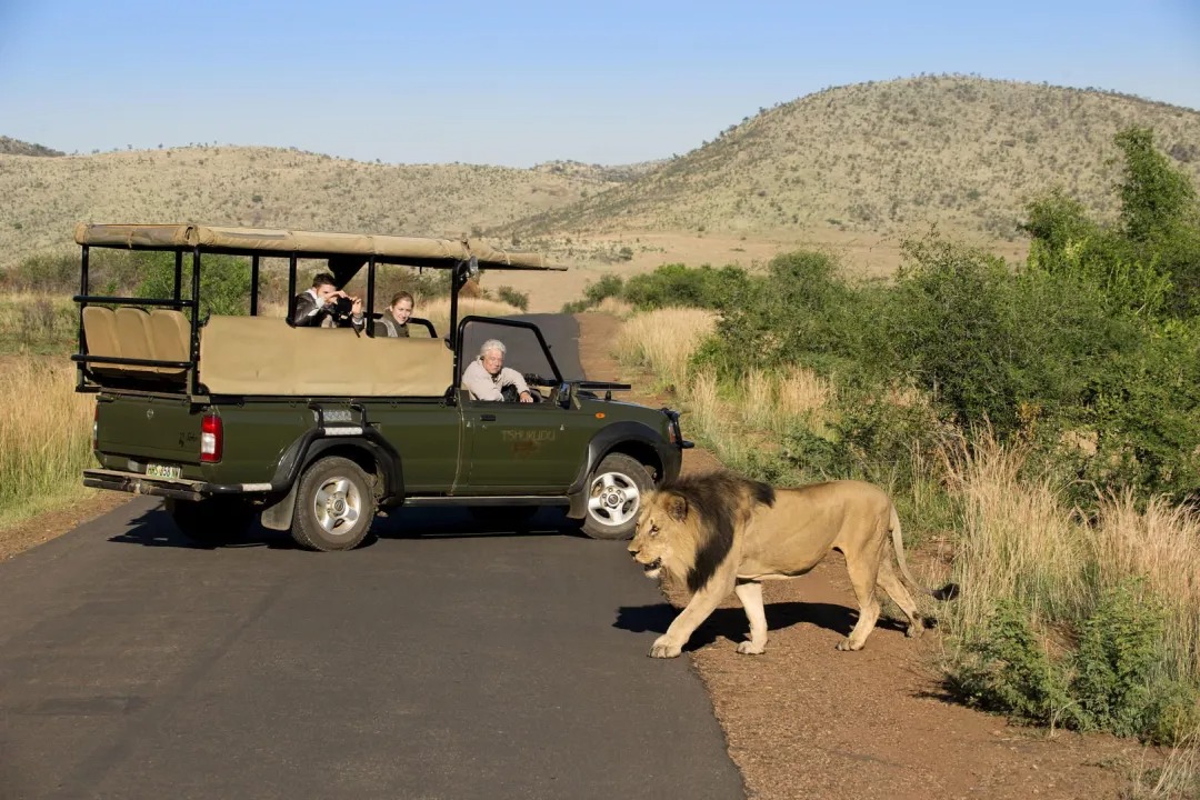 Tshukudu-Bush-Lodge-Pilanesberg-Game-Reserve-20