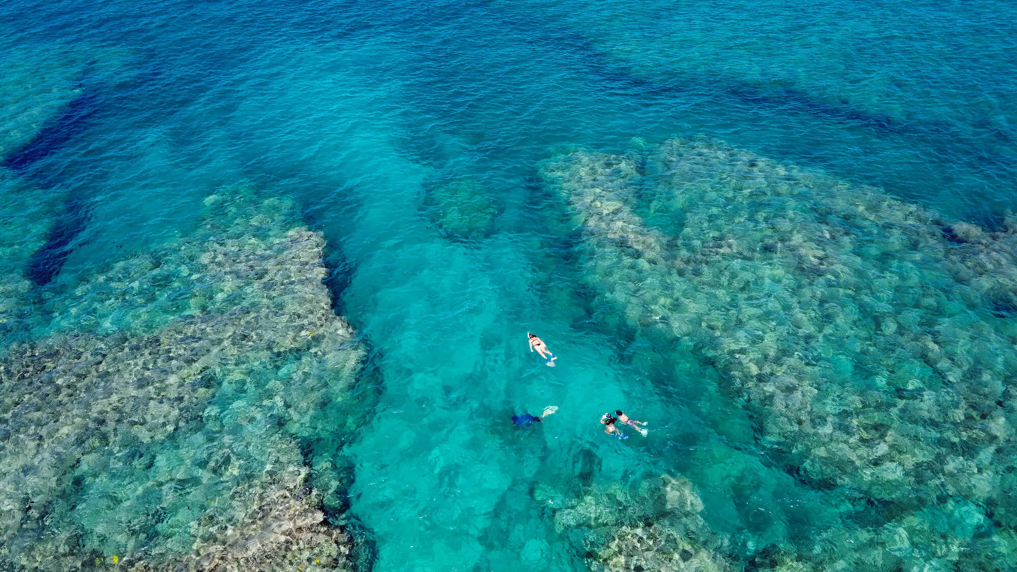 mnl-resort-gallery-snorkeling