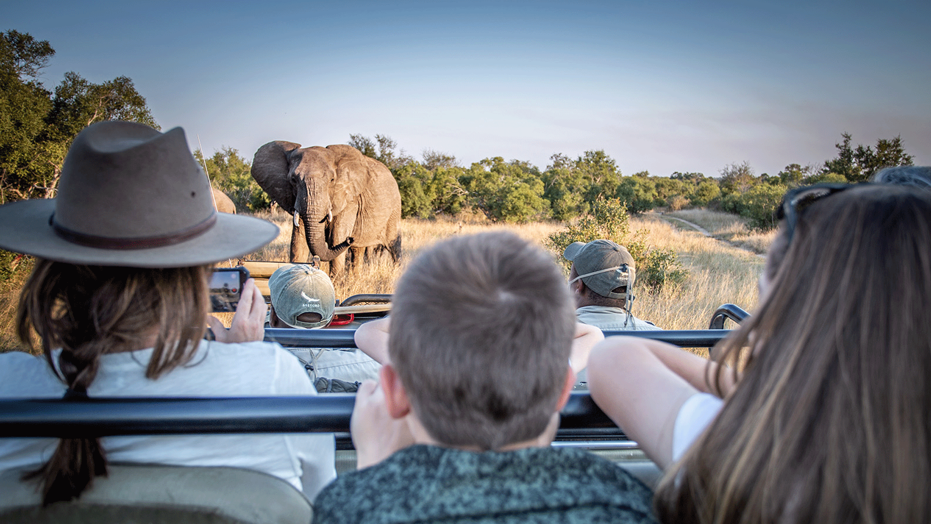ngala-safari-family-wildchild-south-africa