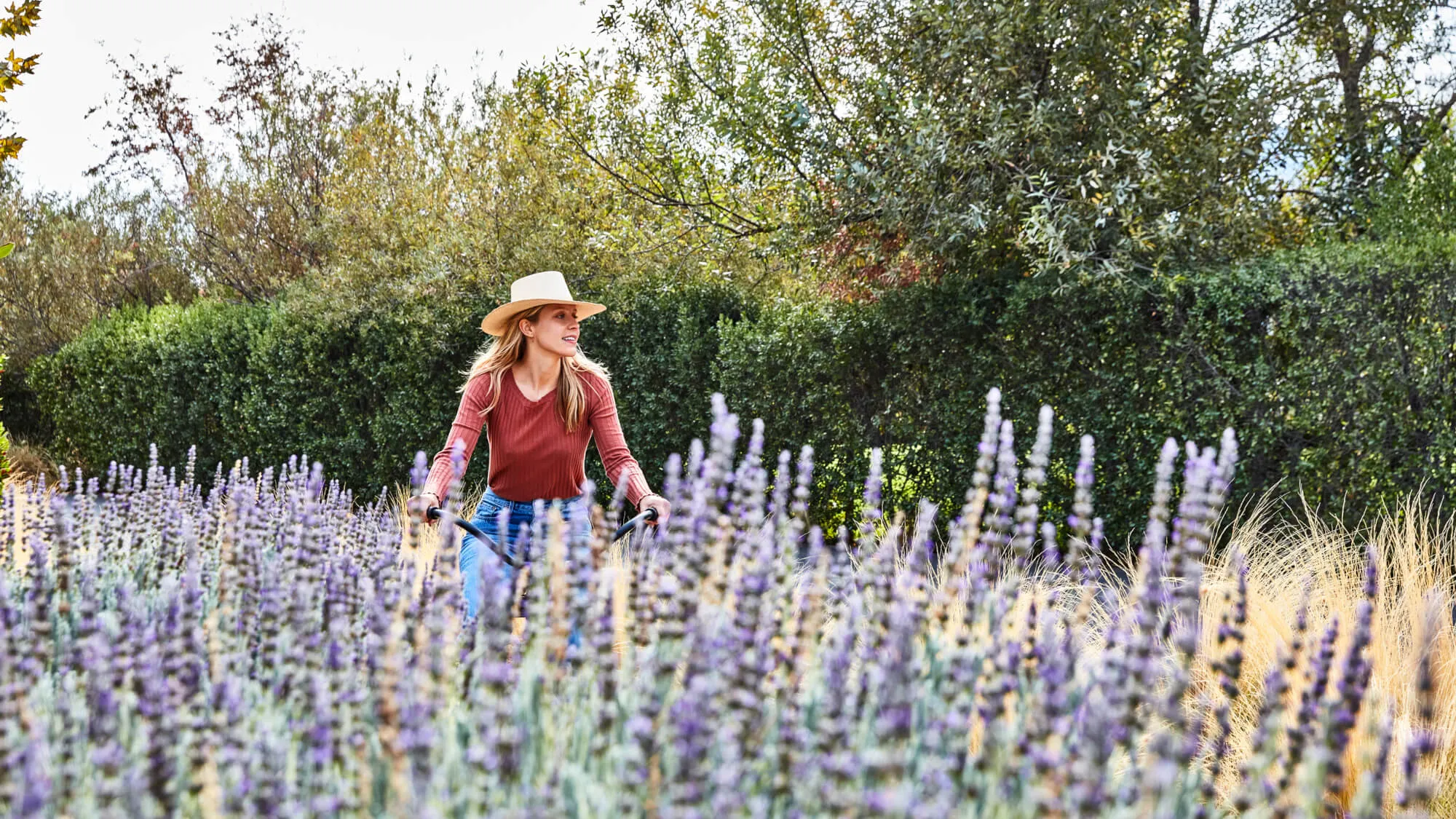 sol-gal-resort-10.23-lavenderbike-land