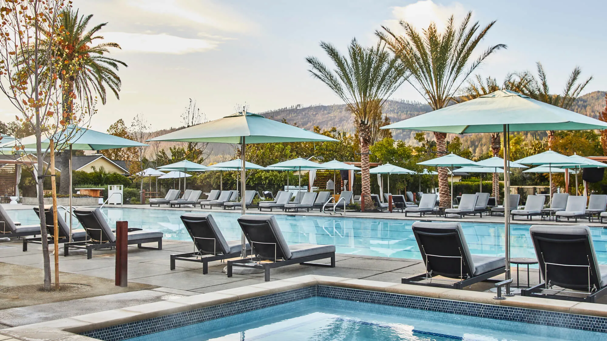 sol-gal-resort-10.23-pooltrees-land