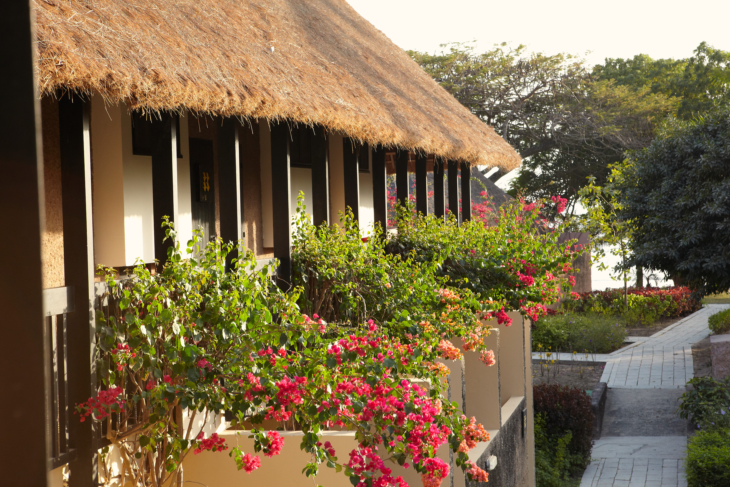 15937-dnghng4jfh-swhr