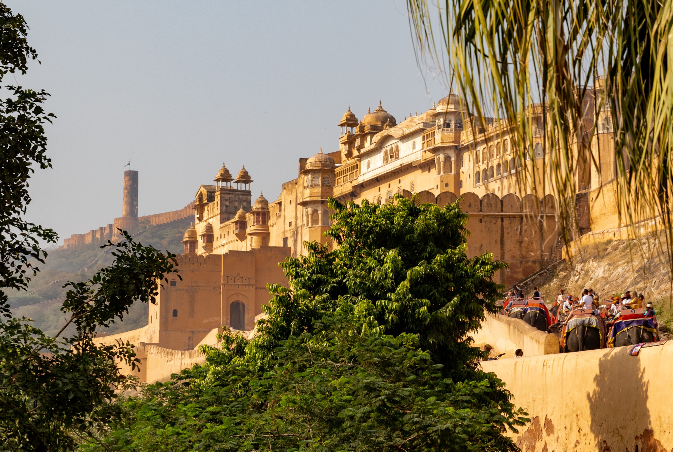 49124504326_e39540e8ab_o