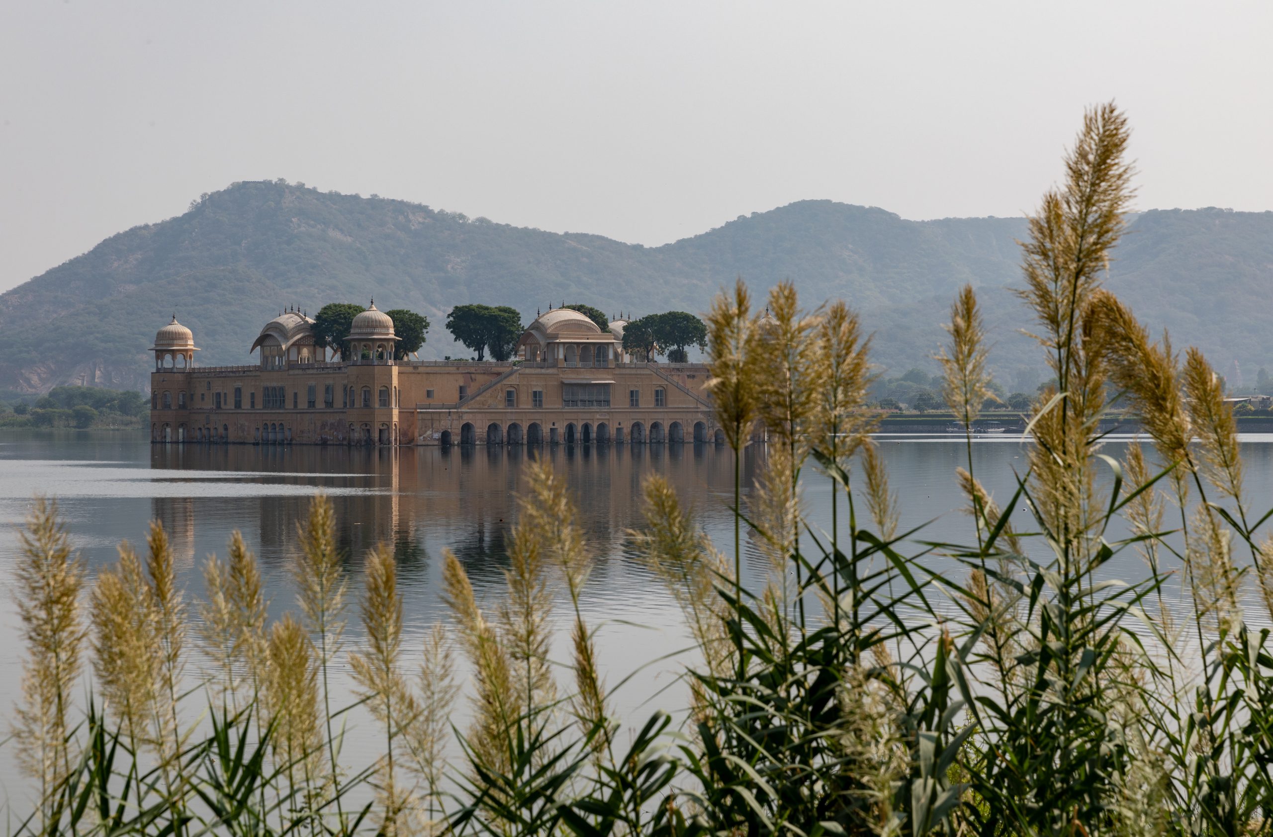 49124742477_f479aa54e4_5k