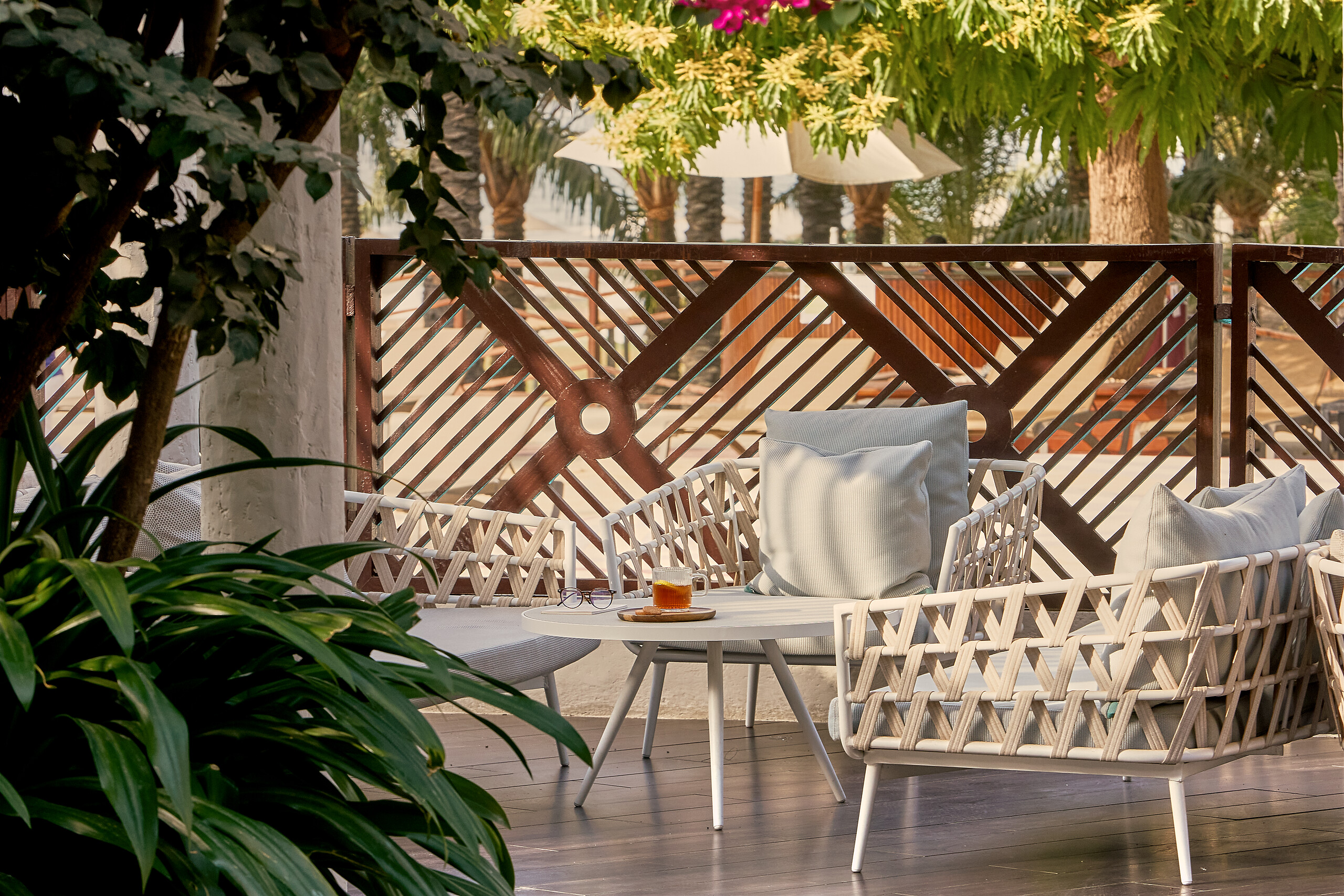 499175-qv5edkussp-swhr