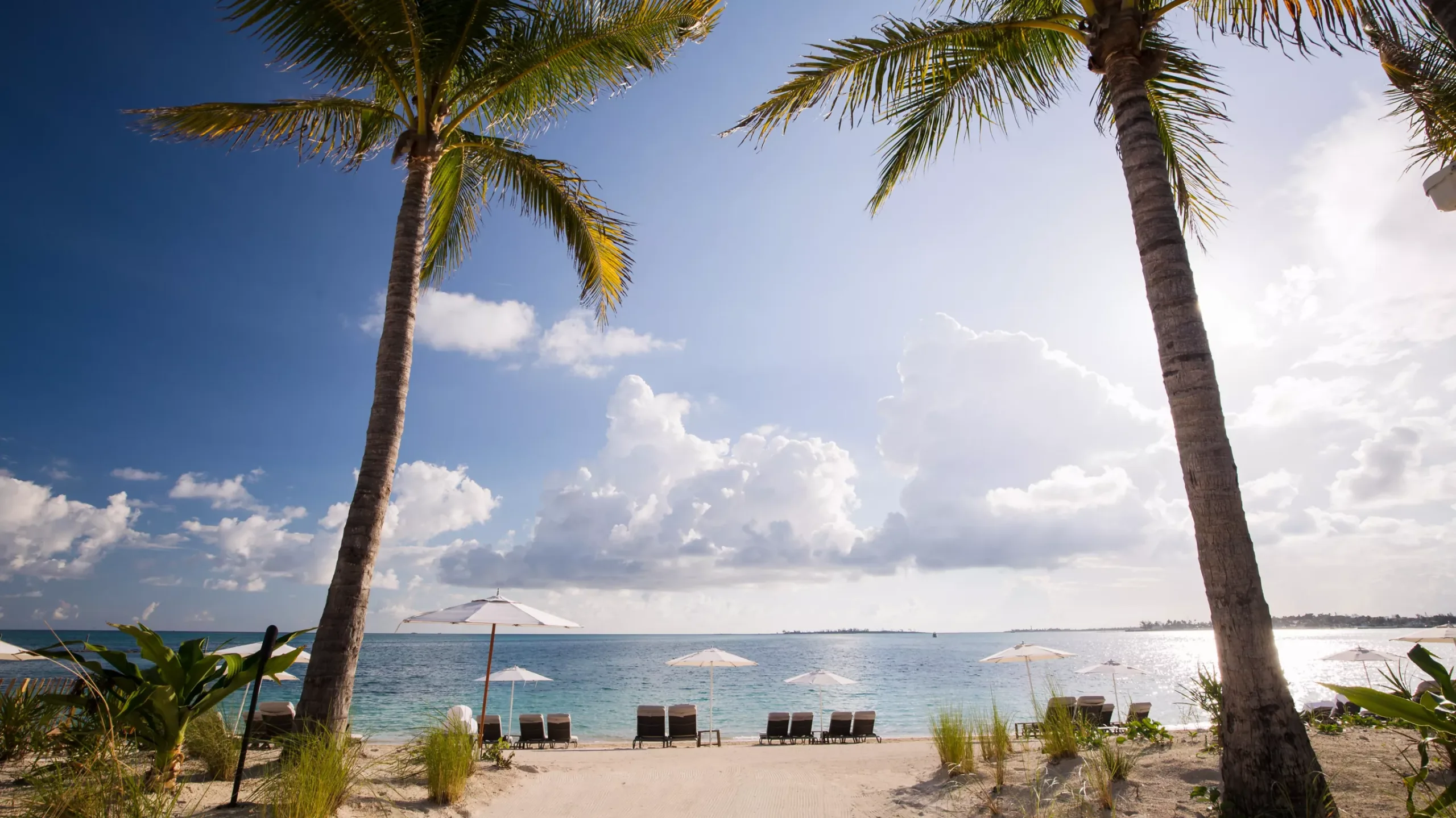 Rosewood Beach 3_WIDE-LARGE-16-9