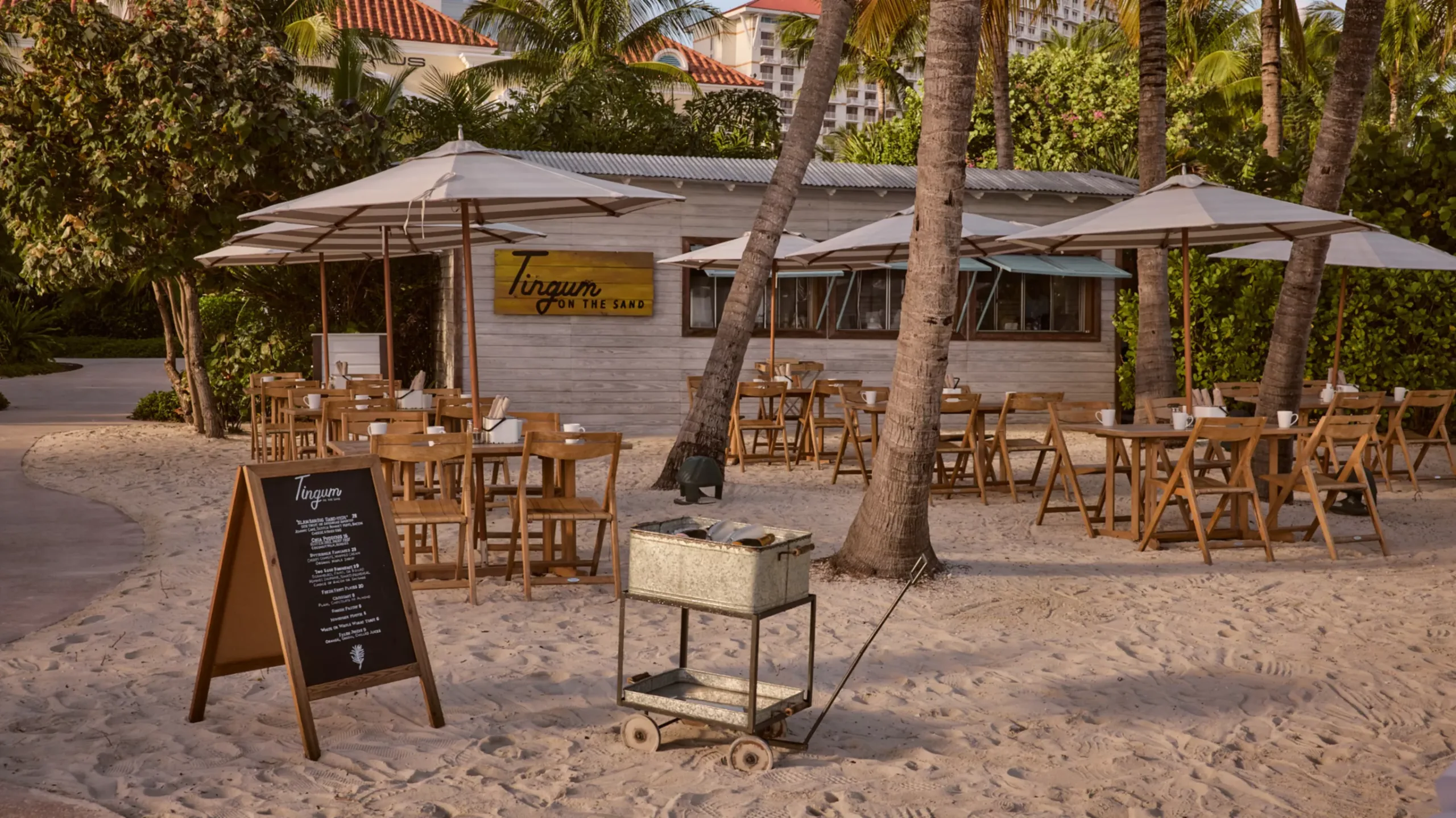 Tingum_0204_WIDE-LARGE-16-9