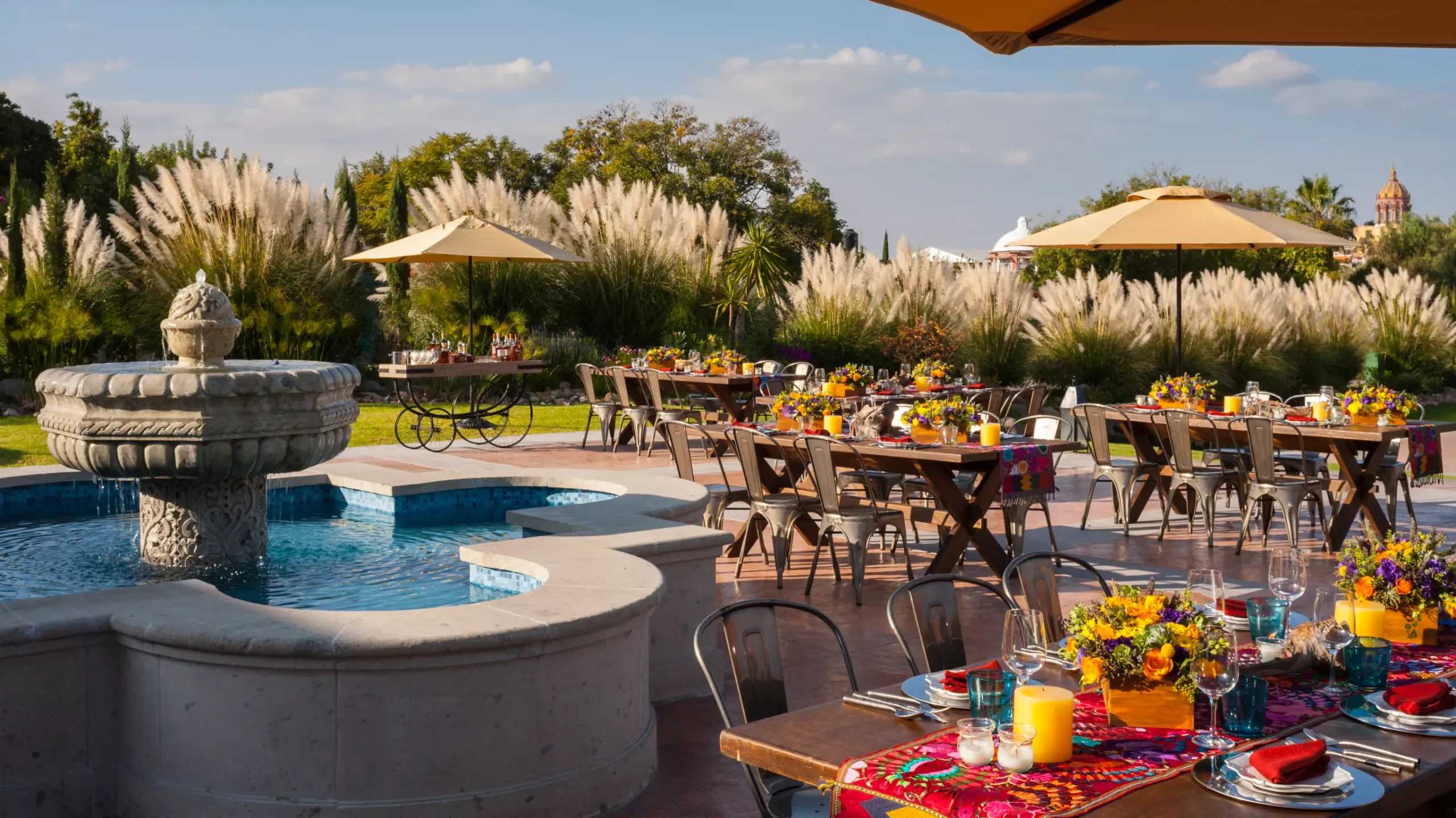 jacaranda_WIDE-LARGE-16-9