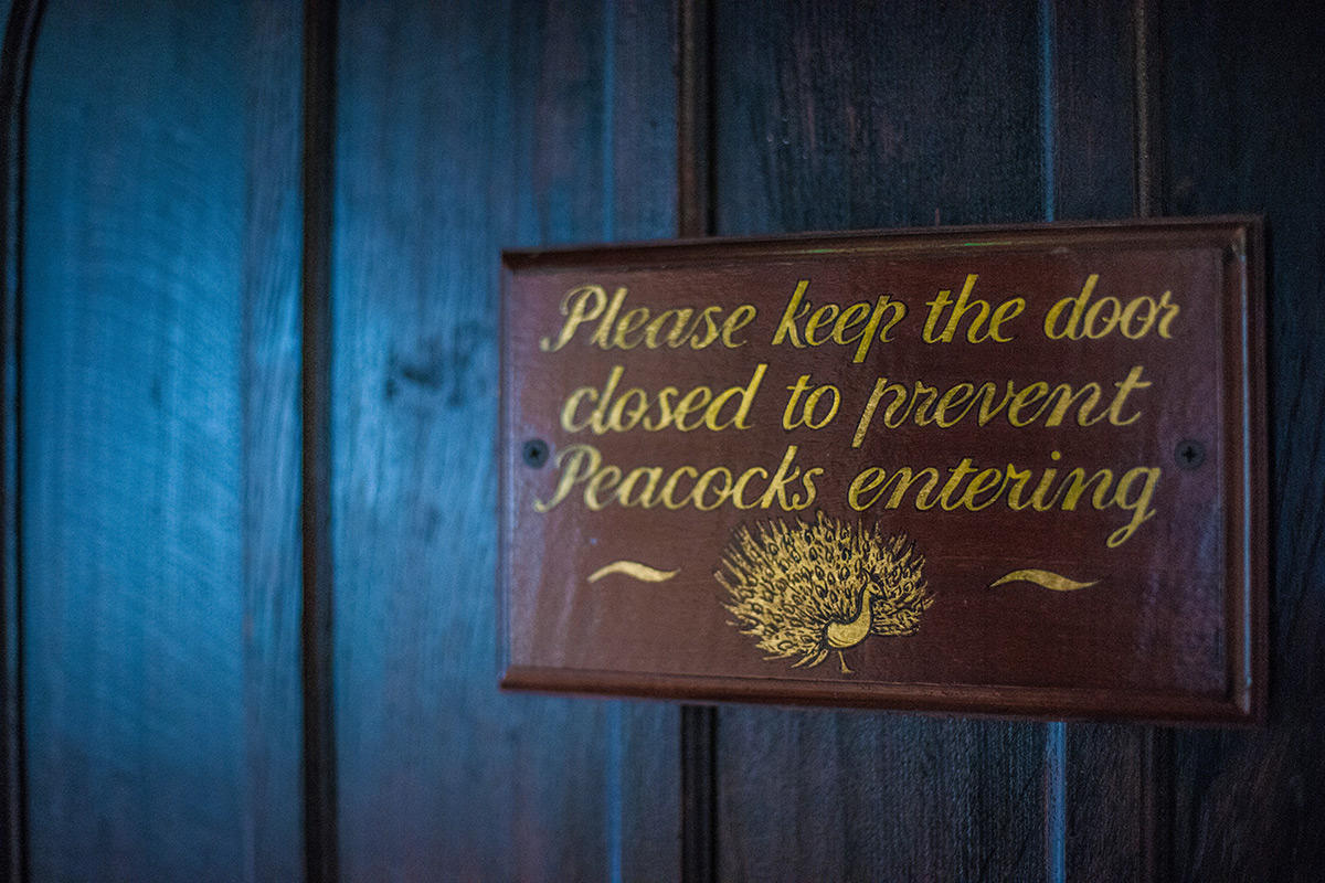 p1arstq8k410mfi17okno41i8i4-1